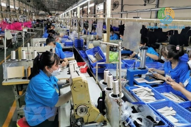 45 Tuổi Có Đi Xuất Khẩu Lao Động Được Không? 13 45 tuoi co di xuat khau lao dong duoc khong