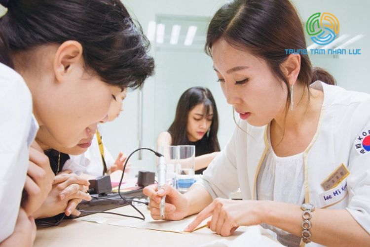 Du Học Hàn Quốc Nên Học Ngành Gì Lương Cao Dễ Xin Việc? 15 du hoc han quoc nen hoc nganh gi