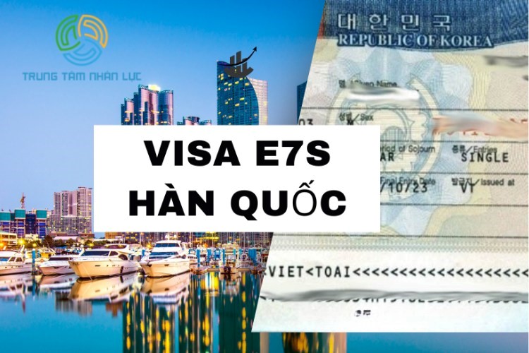Chương Trình Điều Dưỡng E7S: Hồ sơ, điều kiện bạn cần biết 11 chuong trinh dieu duong e7s