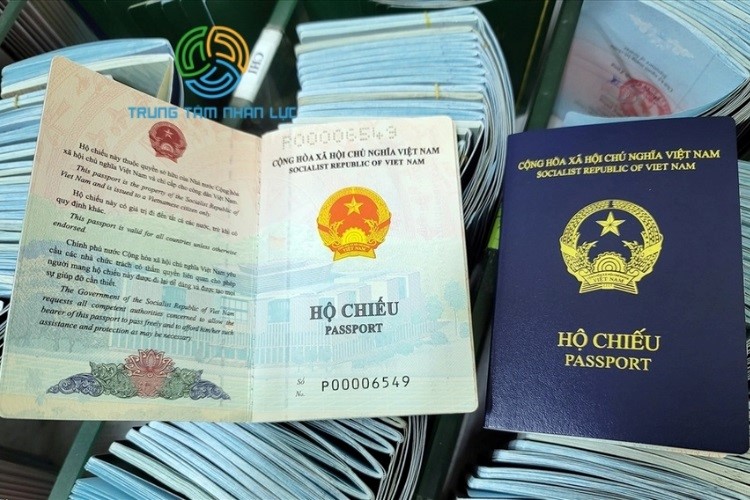 di xkld dai loan can nhung gi
