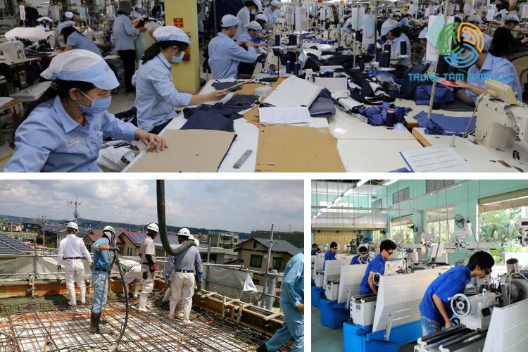 40 Tuổi Có Đi Xuất Khẩu Lao Động Được Không? 11 40 tuoi co di xuat khau lao dong duoc khong