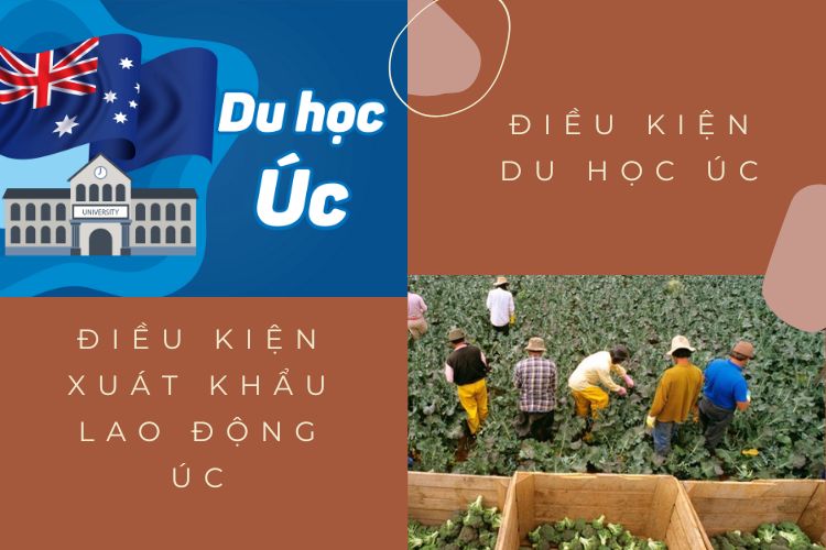Nên Đi Du Học Hay Xuất Khẩu Úc? 19 nen-di-du-hoc-hay-xuat-khau-uc