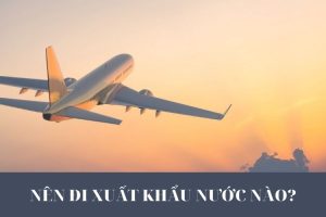 1742446997 130 Nen di xuat khau lao dong nuoc nao tot luong