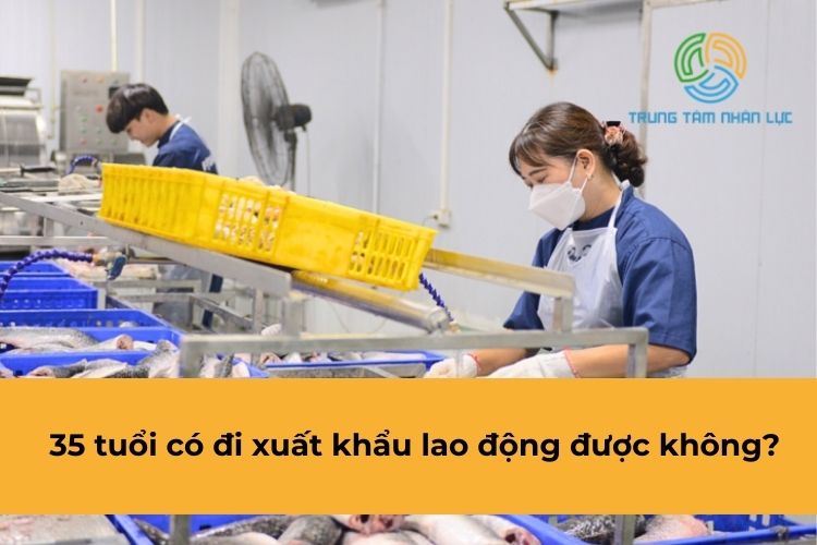 45 Tuổi Có Đi Xuất Khẩu Lao Động Được Không? 9 45 tuoi co di xuat khau lao dong duoc khong