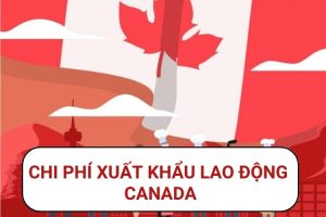 Chi Phi Xuat Khau Lao Dong Canada Bao Nhieu Tien