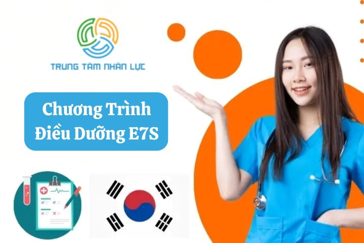 Chương Trình Điều Dưỡng E7S: Hồ sơ, điều kiện bạn cần biết 8 chuong trinh dieu duong e7s
