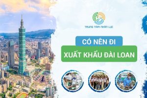 Co Nen Di Xuat Khau Lao Dong Dai Loan Hay