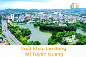 Cong Ty Xuat Khau Lao Dong Tai Tuyen Quang Uy