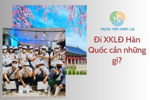 Di XKLD Han Quoc Can Nhung Gi 5 Luu Y