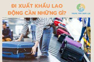Di Xuat Khau Lao Dong Can Nhung Gi