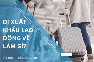 Di Xuat Khau Lao Dong Ve Lam Gi
