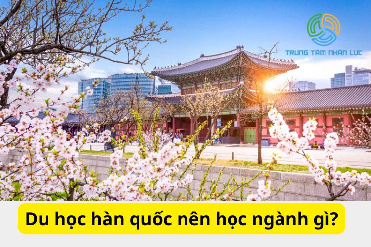 Du Học Hàn Quốc Nên Học Ngành Gì Lương Cao Dễ Xin Việc? 11 Du Hoc Han Quoc Nen Hoc Nganh Gi Luong Cao