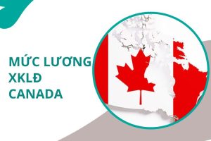 Luong XKLD Canada La Bao Nhieu Nen Chon Nghe Nao