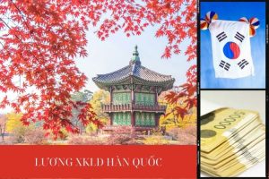 Luong XKLD Han Quoc Bao Nhieu Tien Nam 2025