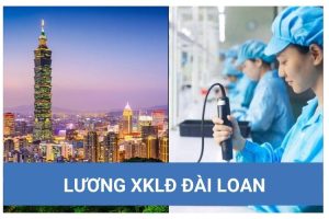 Muc Luong XKLD Dai Loan Nam 2025 La Bao Nhieu