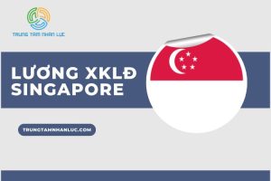Muc luong xkld Singapore 2025 chi tiet nhat