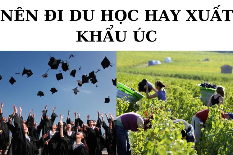 Nên Đi Du Học Hay Xuất Khẩu Úc? 14 nen-di-du-hoc-hay-xuat-khau-uc