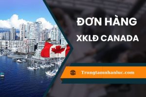 Top 6 don hang XKLD Canada pho bien nhat 2025