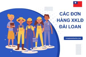 Top 7 Don Hang XKLD Dai Loan Tot Luong Cao