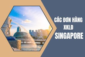 Top 9 Don Hang XKLD Singapore Tot Nhat Nam 2025