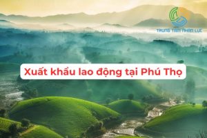 Trung Tam Xuat Khau Lao Dong Tai Phu Tho Nhanh
