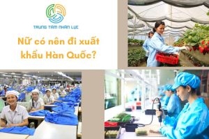 Tu Van Nu Co Nen Di Xuat Khau Han Quoc