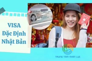 Visa Dac Dinh Nhat Ban la gi Tim hieu chi