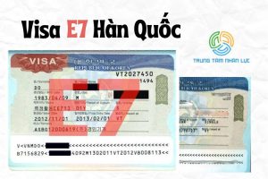 Visa E7 Han Quoc La Gi Tat Tan Tat Thong