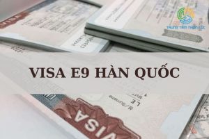Visa E9 Han Quoc La Gi Dieu Kien Thu Tuc
