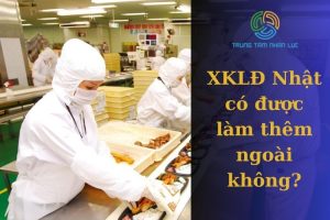 XKLD Nhat Co Duoc Lam Them Ngoai Khong