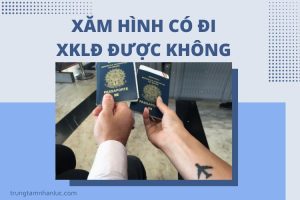 Xam Hinh Co Di Xuat Khau Lao Dong Duoc Khong