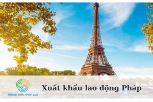 Xuat Khau Lao Dong Phap Dieu Kien Ho So Ban